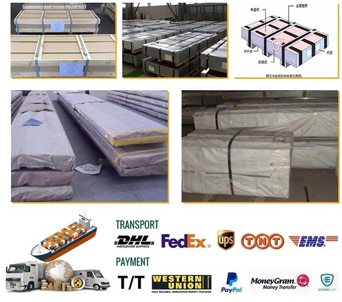 51CrV4 hot rolled 51CrV4 hot rolled